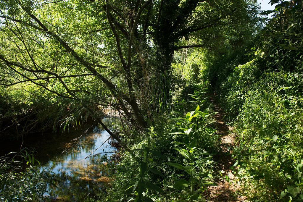 Recanto Da Ribeira Casas De Campo Monchique Bagian luar foto